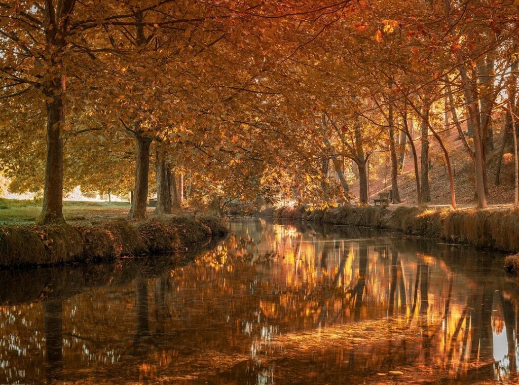 esposa de chayanne testigo de jehová