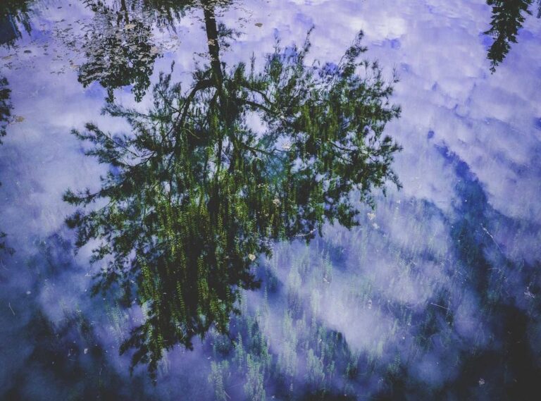 low:8-opwl-vsag= burst fade